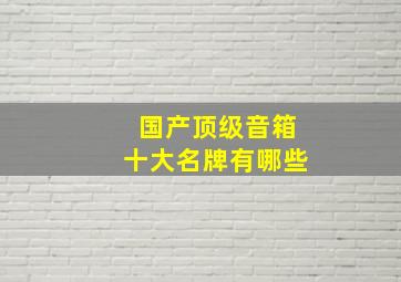 国产顶级音箱十大名牌有哪些