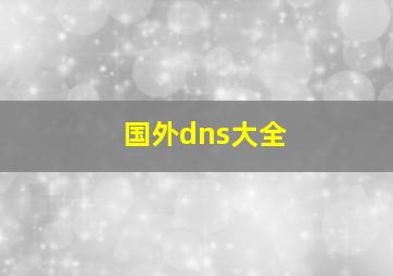 国外dns大全