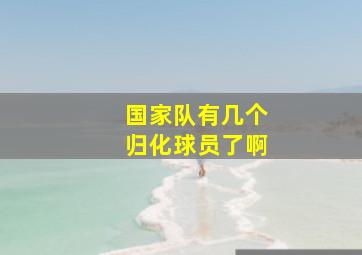 国家队有几个归化球员了啊