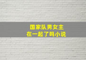 国家队男女主在一起了吗小说