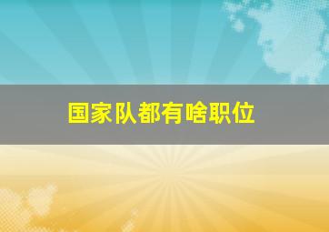 国家队都有啥职位