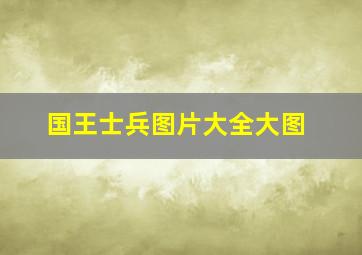 国王士兵图片大全大图