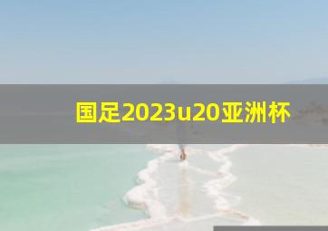 国足2023u20亚洲杯