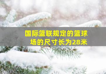 国际篮联规定的篮球场的尺寸长为28米