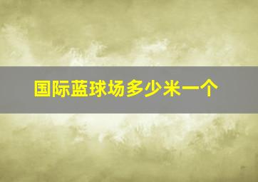 国际蓝球场多少米一个