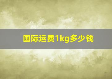 国际运费1kg多少钱