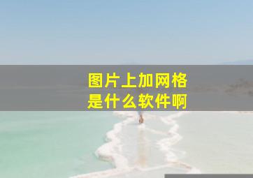 图片上加网格是什么软件啊