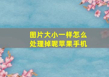 图片大小一样怎么处理掉呢苹果手机