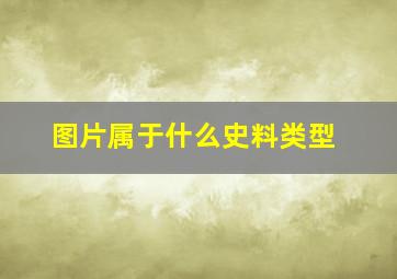 图片属于什么史料类型