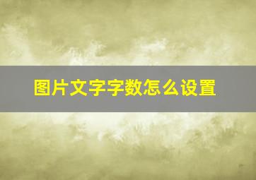 图片文字字数怎么设置