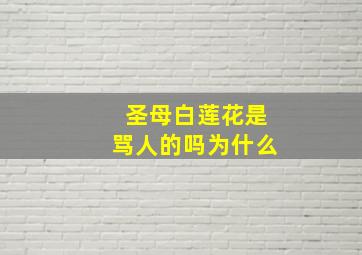 圣母白莲花是骂人的吗为什么