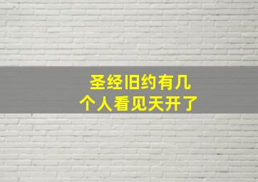 圣经旧约有几个人看见天开了