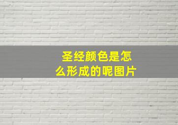 圣经颜色是怎么形成的呢图片