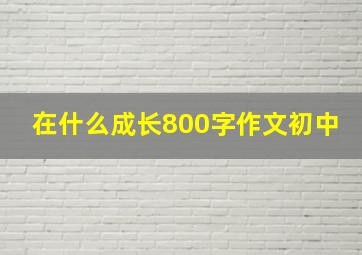 在什么成长800字作文初中