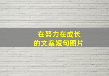 在努力在成长的文案短句图片