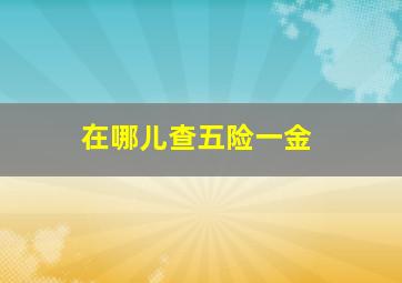 在哪儿查五险一金