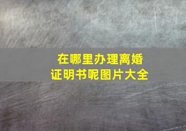 在哪里办理离婚证明书呢图片大全