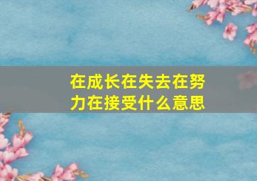 在成长在失去在努力在接受什么意思