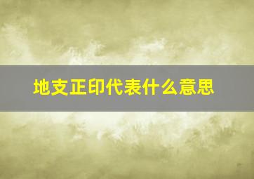 地支正印代表什么意思