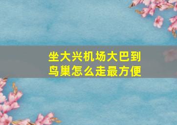 坐大兴机场大巴到鸟巢怎么走最方便