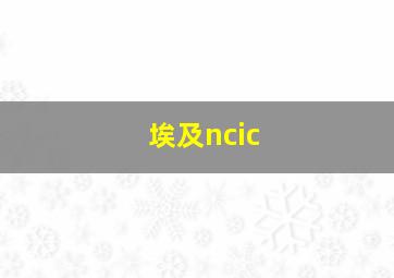 埃及ncic