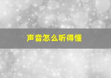 声音怎么听得懂