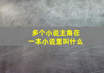 多个小说主角在一本小说里叫什么