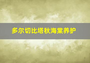 多尔切比塔秋海棠养护