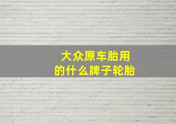 大众原车胎用的什么牌子轮胎