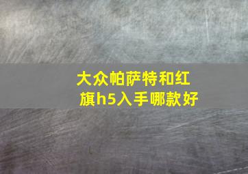 大众帕萨特和红旗h5入手哪款好