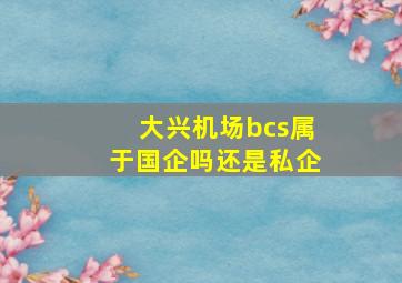 大兴机场bcs属于国企吗还是私企