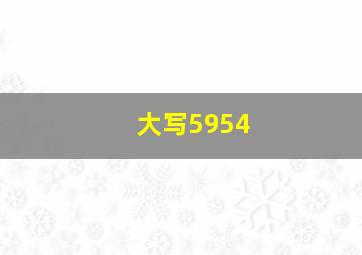 大写5954