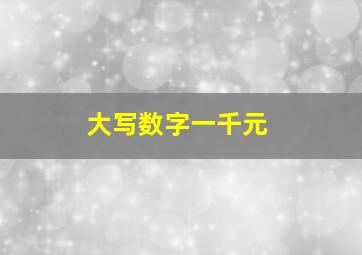 大写数字一千元