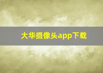 大华摄像头app下载