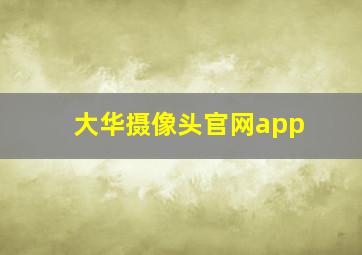 大华摄像头官网app