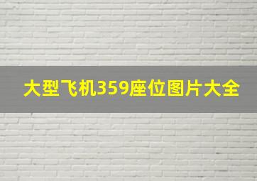 大型飞机359座位图片大全