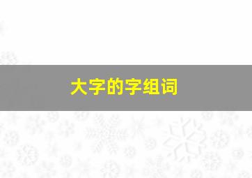 大字的字组词