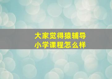 大家觉得猿辅导小学课程怎么样