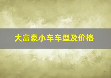 大富豪小车车型及价格