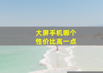 大屏手机哪个性价比高一点