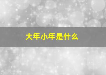 大年小年是什么