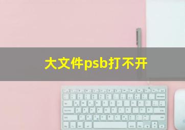 大文件psb打不开