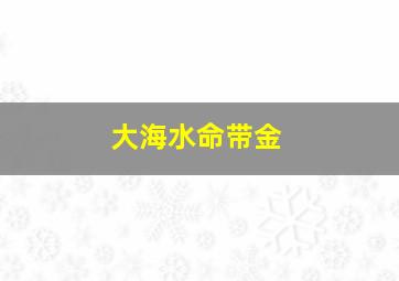 大海水命带金