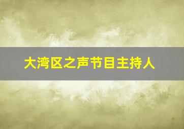 大湾区之声节目主持人