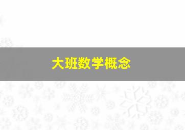 大班数学概念