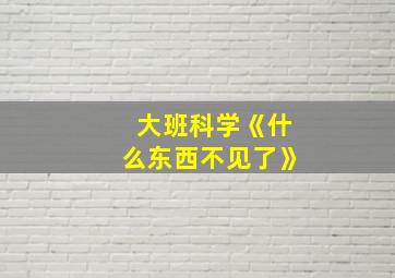 大班科学《什么东西不见了》