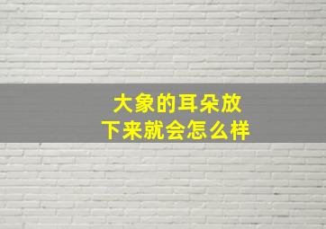 大象的耳朵放下来就会怎么样