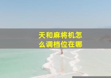 天和麻将机怎么调档位在哪