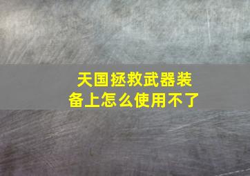 天国拯救武器装备上怎么使用不了