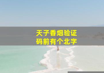 天子香烟验证码前有个北字